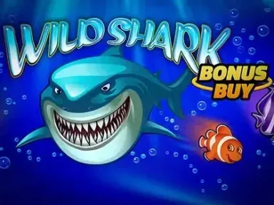 Wild Shark